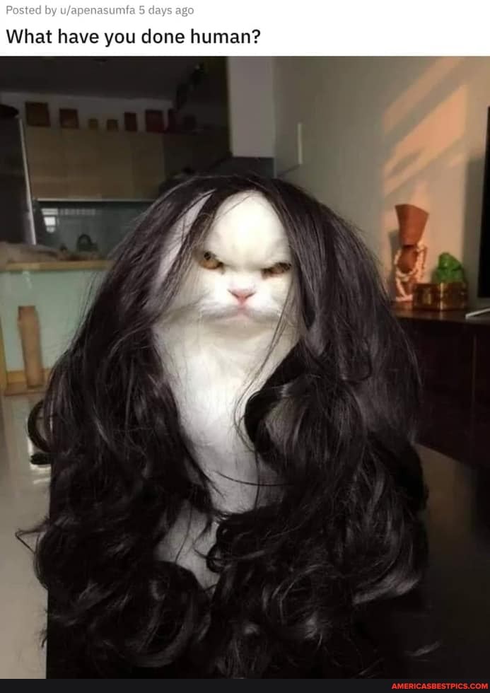 by daya
What have you done human?