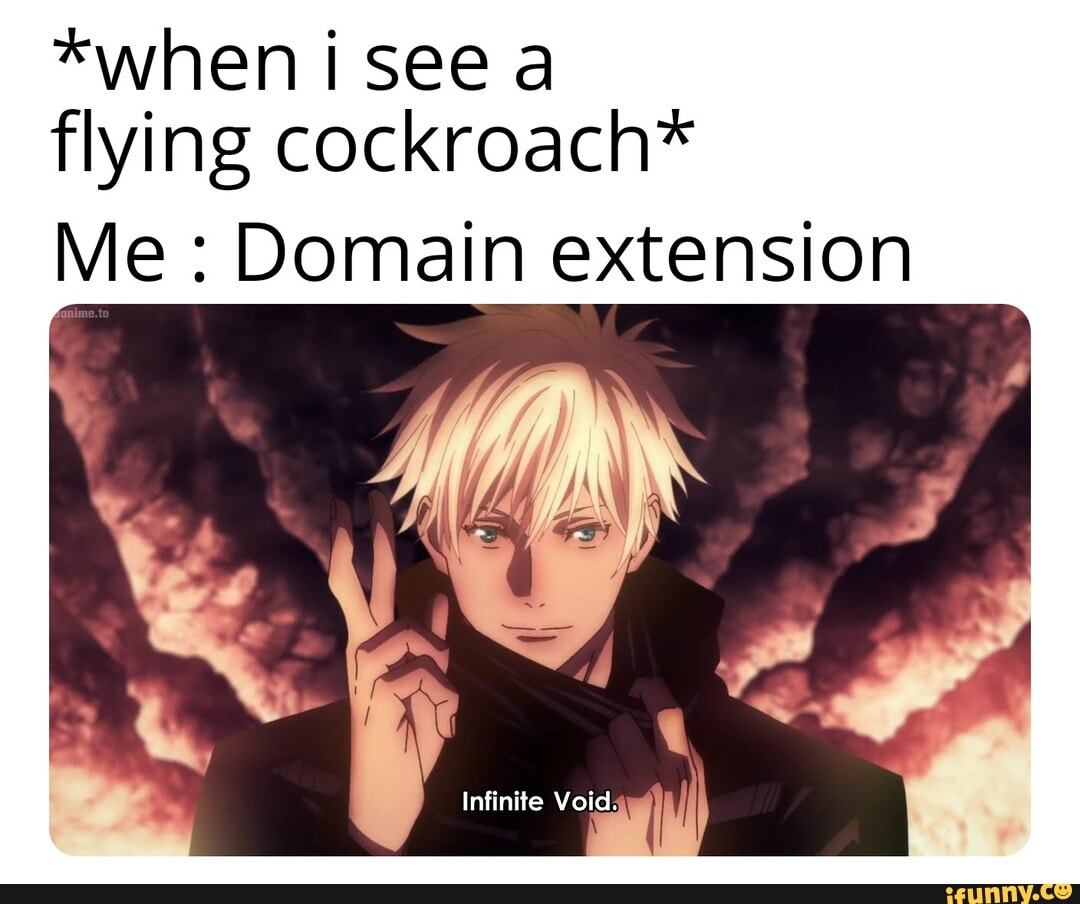 *when See flying cockroach* Me: Domain extension - iFunny