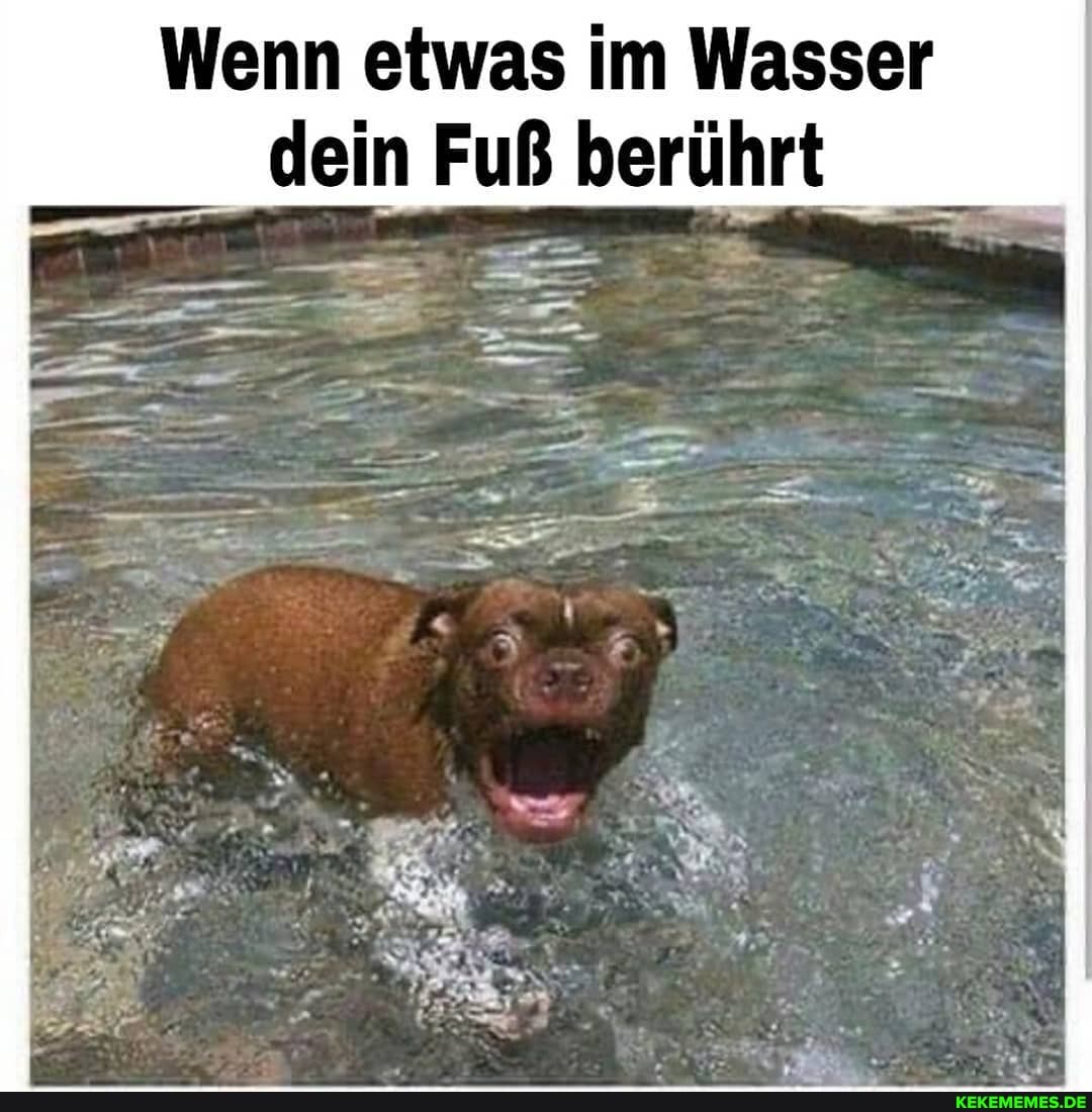 Wenn etwas im Wasser dein Fuß berührt