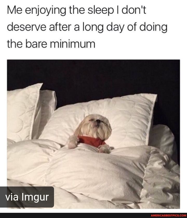 Me enjoying the sleep I don't deserve after a long day of doing the bare minimum
via Imgur