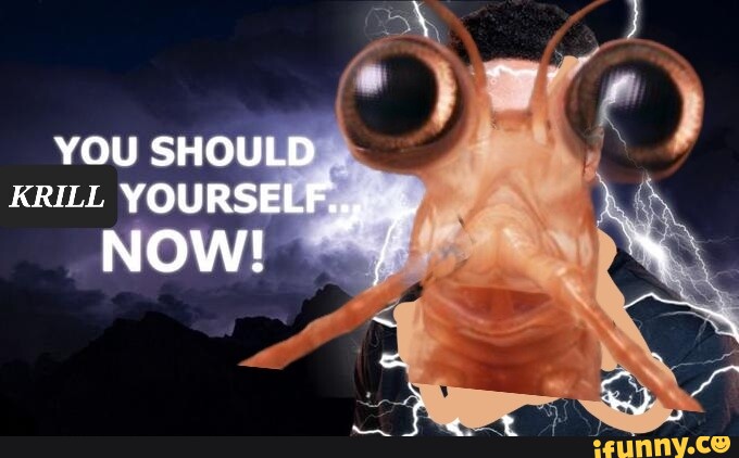 YOU SHOULD KRILL YOURSELF.. NOW! ~ - IFunny