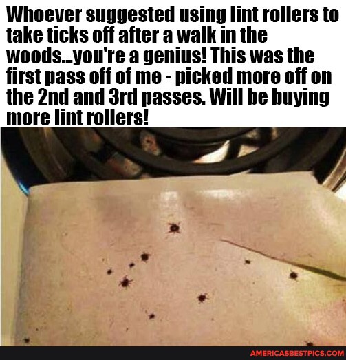 li Whoever suggested using lint rollers to take ticks off after a
