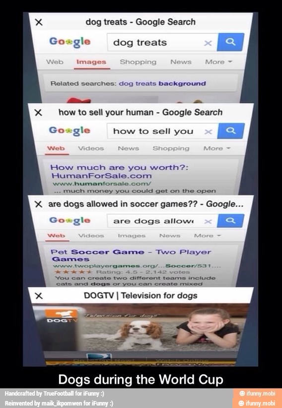 dog treats Google Search
Gosgle dog treats
x how to sell your human
Google Search
Gosgle how to sell you Q
I
How much are you worth?:
HumanForSale.com
www humantorsale.com/
much money you could get on the open
Gosgle
X are dogs allowed in soccer games?? are dogs allow:
Pet Soccer Game
Two Player
Games
vera twoplayorga Soccer/s31
cate ana dogs or you can create mixed
DOGTV I Television for dogs
Dogs during the World Cup