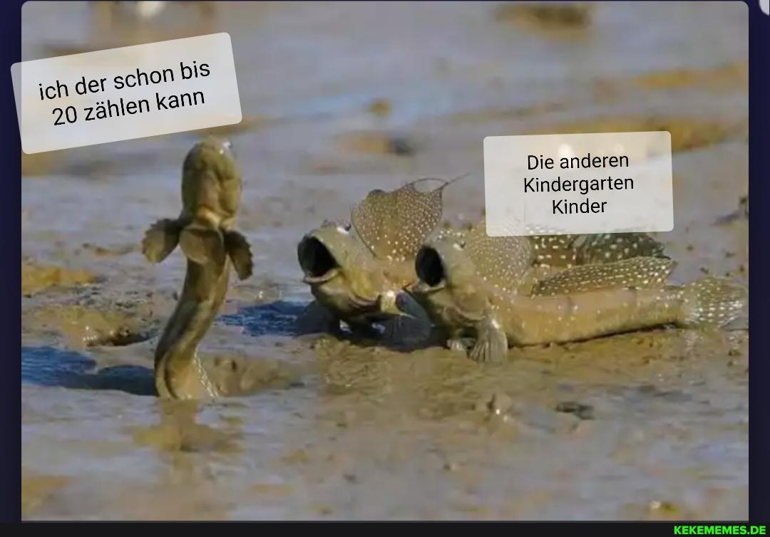 der senon bis zählen kann
Die anderen
Kindergarten
Kinder