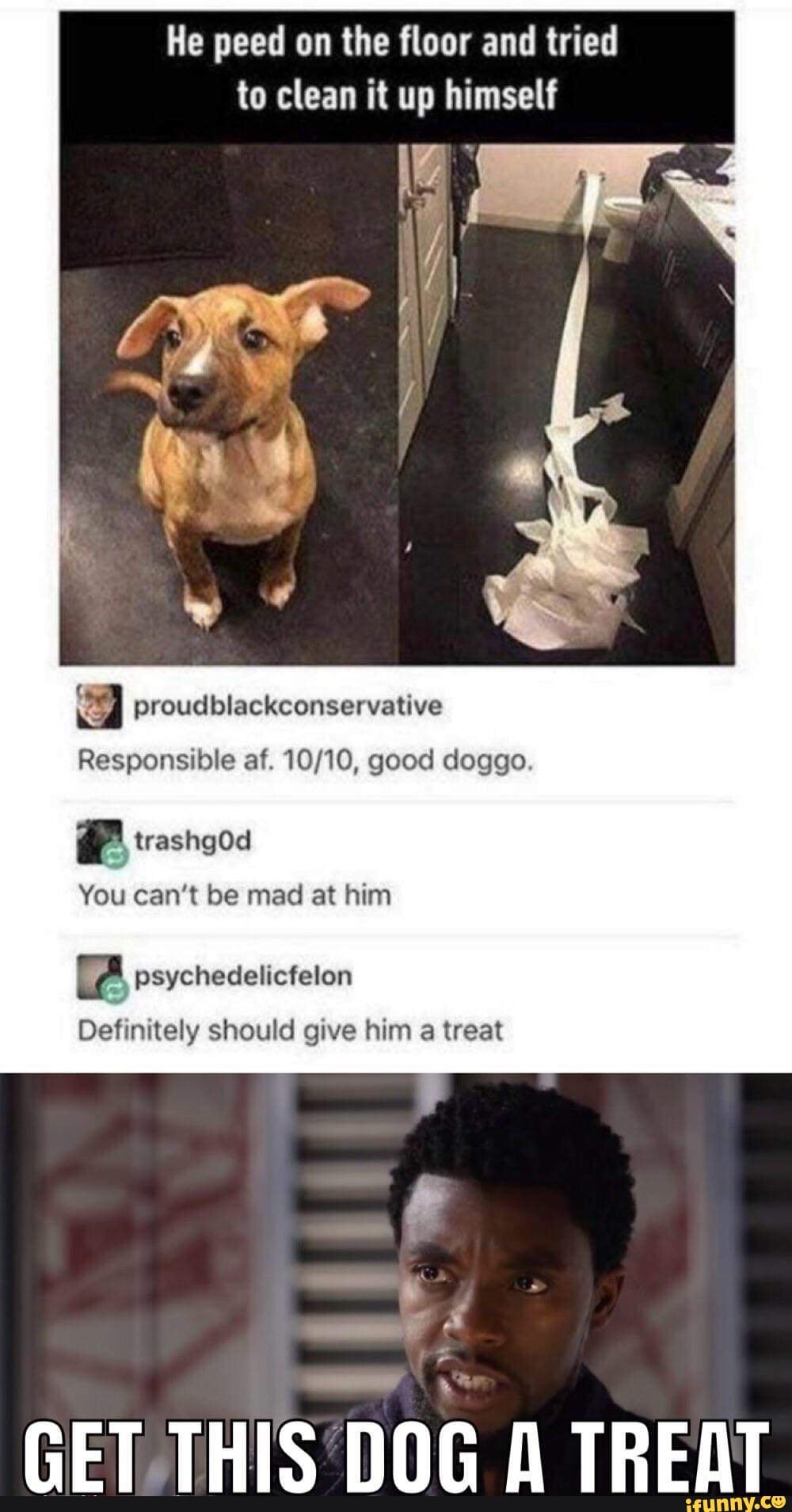 He peed on the floor and tried to clean it up himself
I proudblackconservative
Responsible af. good doggo.
You can't be mad at him
psychedelicfelon
Definitely should give him a treat
GET THIS DOG A TREAT