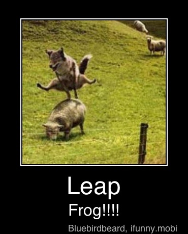 Leap - Leap
Frog!!!!