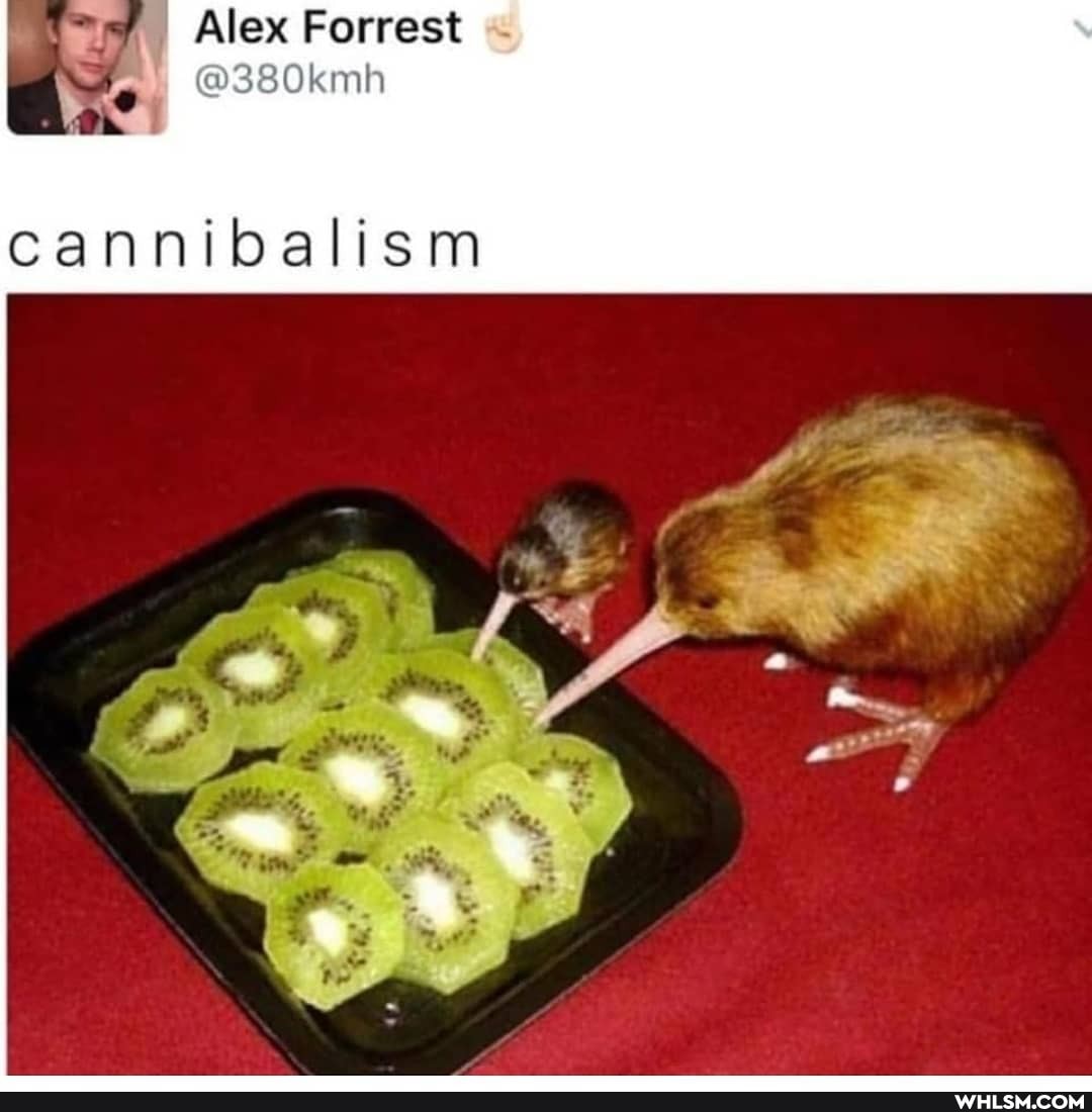 Alex Forrest "
@380kmh
cannibalism