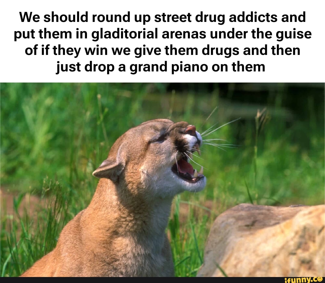 Addicted memes. Best Collection of funny Addicted pictures on iFunny