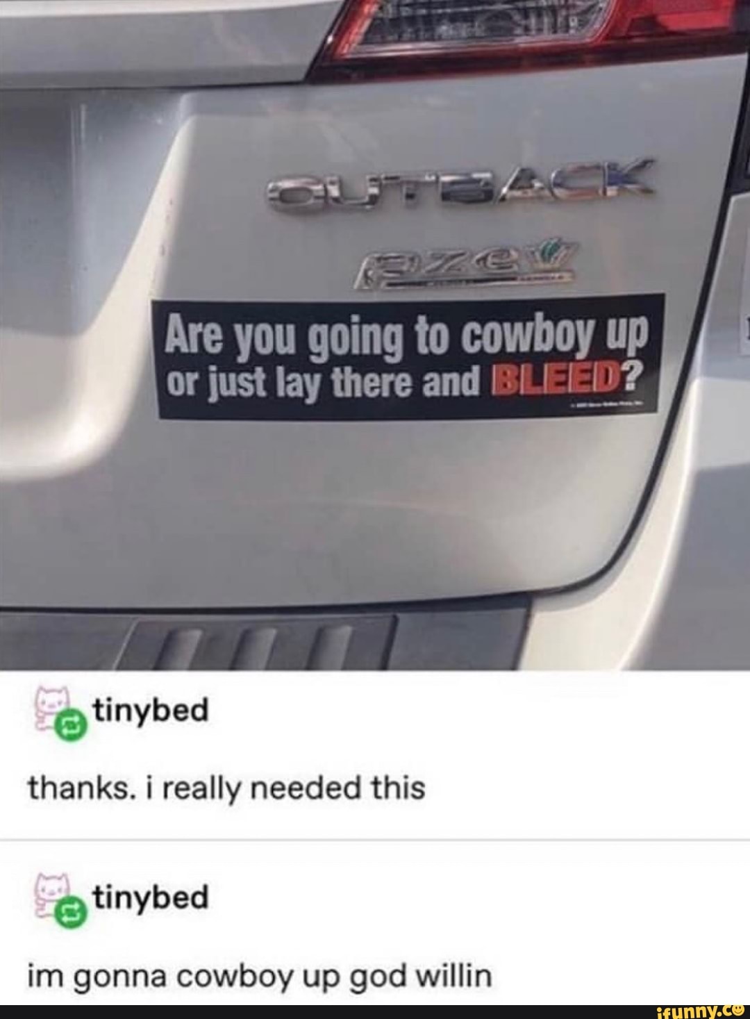 thanks. i really needed this
q @tinybed
im gonna cowboy up god willin