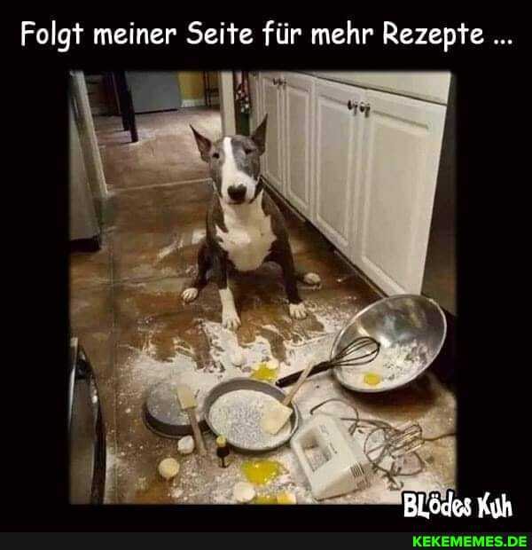 Folgt meiner Seite für mehr Rezepte
räder Yalk