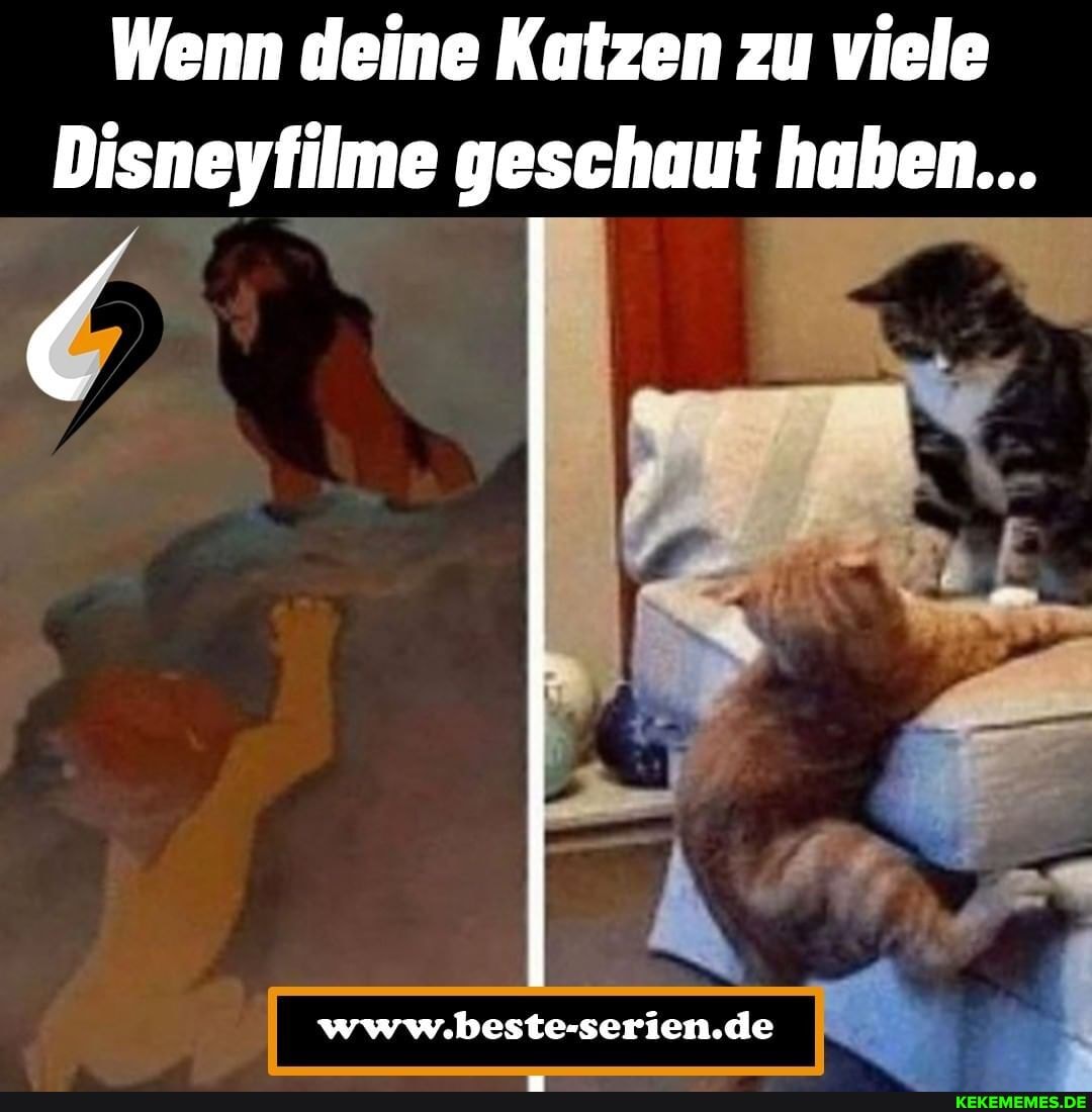 Wenn deine Katzen zu viele Disneyfilme geschaut haben... !ar www.beste-serien.de