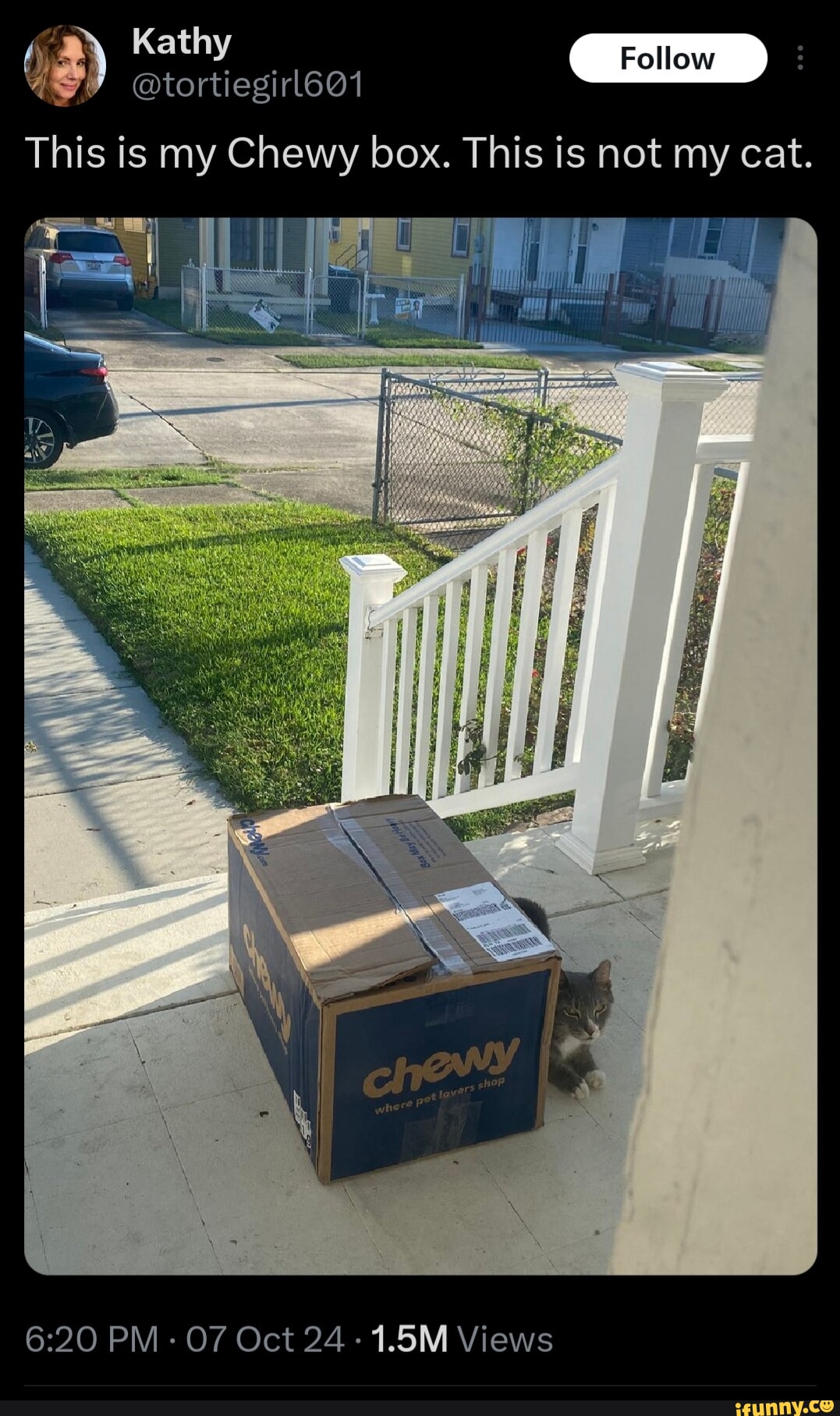 OLD ms what is bro doing iFunny