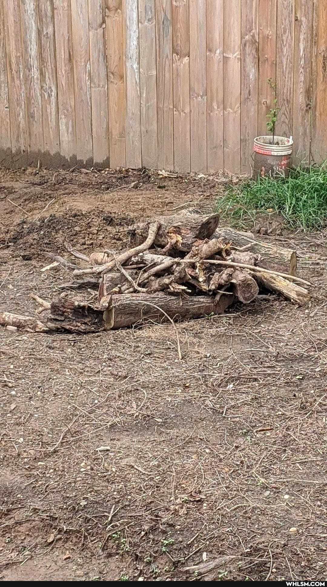 backyard, winnerwinnerchickendinner, goodtimes, wholesome_memes, bekind