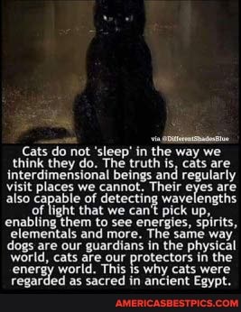 Cats do not 'sleep' in the way we think they do. The truth is, cats are interdimensional beings and regularly visit places we cannot. Their eyes are also capable of detecting wavelengths of light that we can't pick up, enabling them to see energies, spirits, elementals and more. The same way dogs are our guardians in the physical world, cats are our protectors in the energy world. as This sacred Is in why cats ancient were Egypt.
regarded as sacred in ancient Egypt.