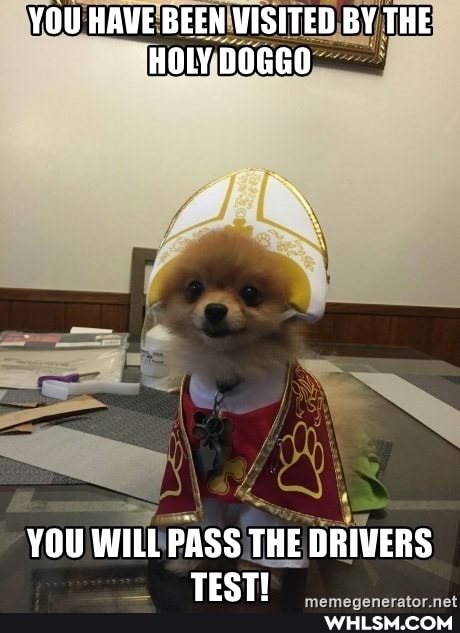 YOU HAVE BEEN VISITED BY THE HOLY DOGGO
YOU WILL PASS THE DRIVERS