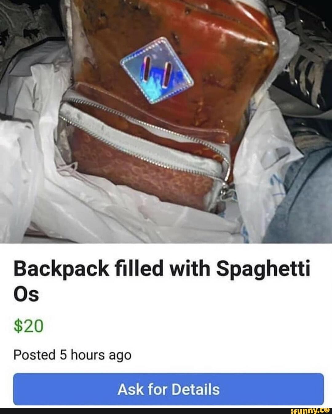 Backpack filled with Spaghetti
Os
Posted 5 hours ago
Ask for Details