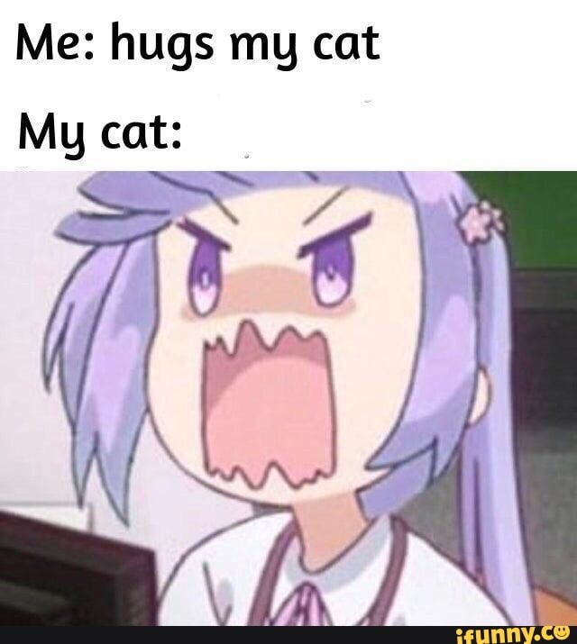 Me: hugs my cat
Mu cat:
fe