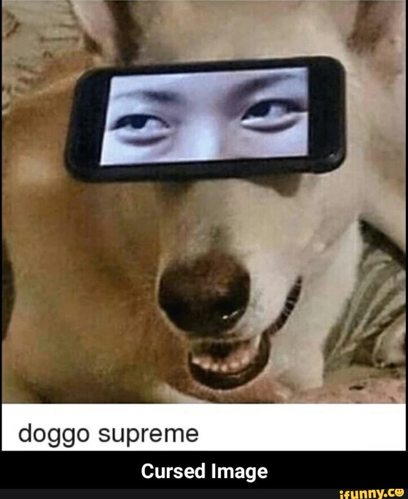 Doggo Supreme Cursed Image Ifunny