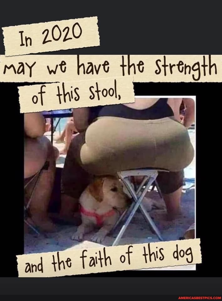 may we have the Strengt of this Stool,
and the faith of
of this