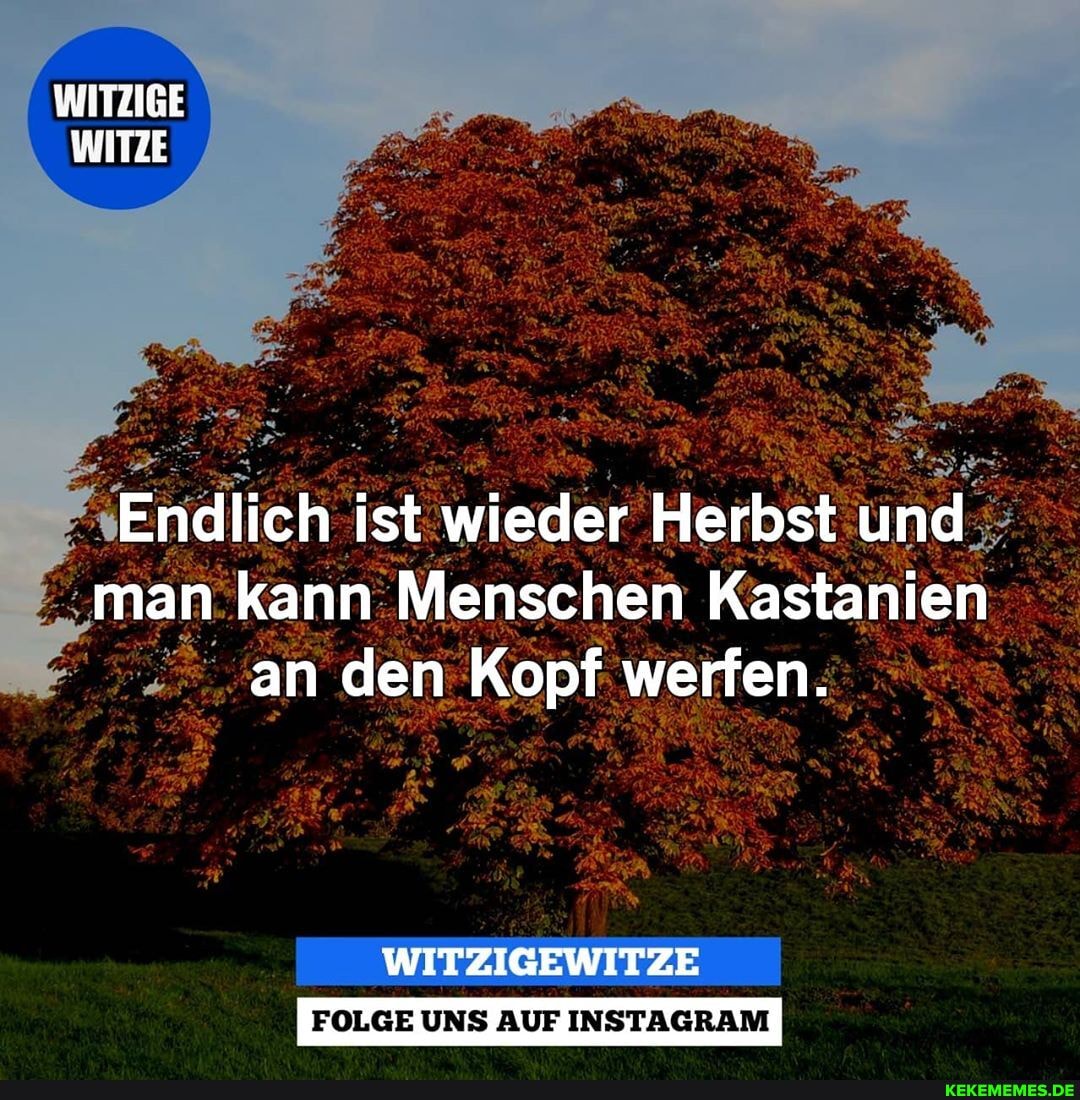 WITZIGE WEITZE
Endlich ist wieder Herbst und man kann Menschen Kastanien an den Kopf werfen.
FOLGE UNS AUF INSTAGRAM