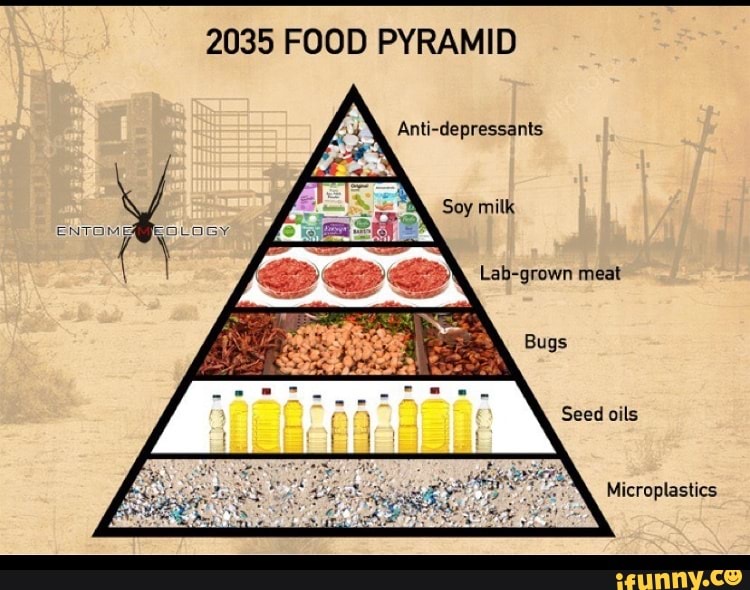 2035 FOOD PYRAMID Say OLOGY Seed oils Microplastics. iFunny