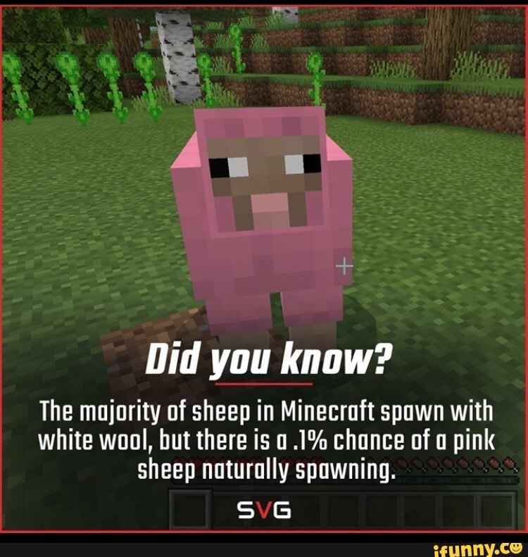 Did you know? The majority of sheep in Minecraft spawn with white wool ...