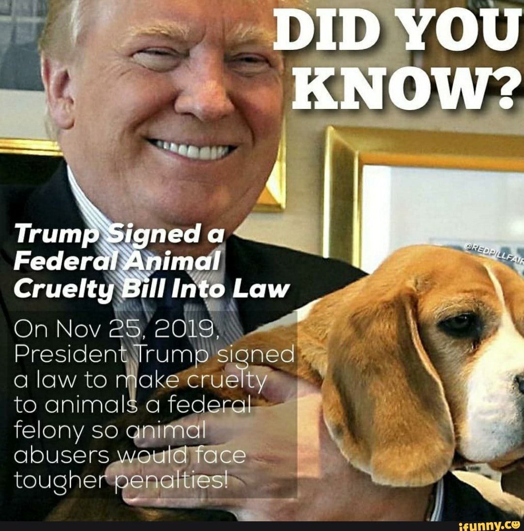 DID YOU
KNOW?
Federal Animal I Lew
On Nov
President Trump signed a law to rakecruelty to animals a federal felony so @nimal
abusers, weuld face tougher Itiests