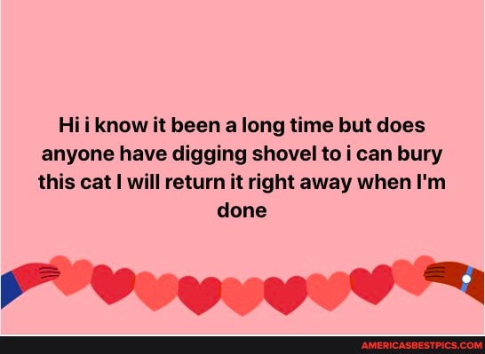 Hii know it been a long time but does anyone have digging shovel to i can bury this cat will return it right away when I'm
done
FF ewyey Zi