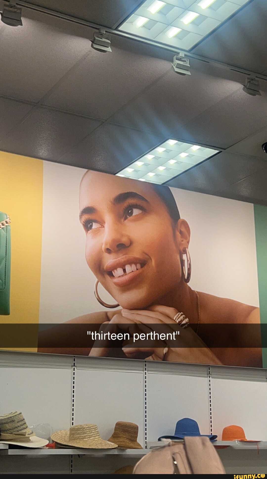 How my dog sees himself when the doorbell rings af iFunny