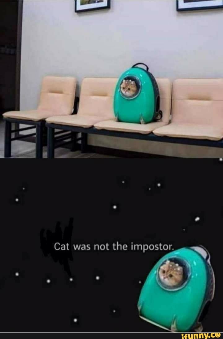 Cat was not the impostor.