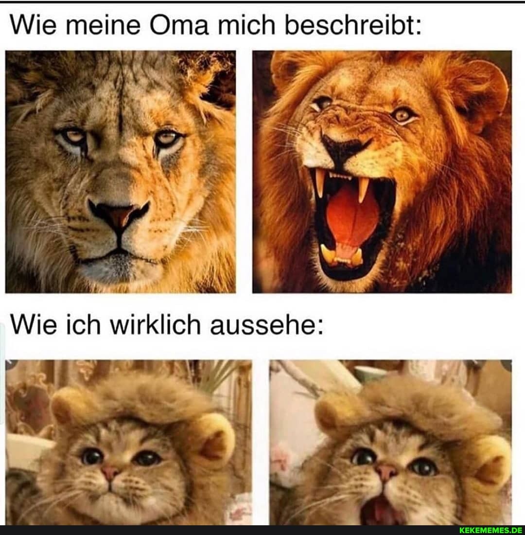 Wie meine Oma mich beschreibt:
Wie ich wirklich aussehe:
