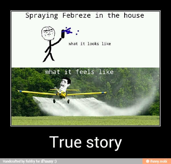 Spraying Febreze in the house
True story - True story