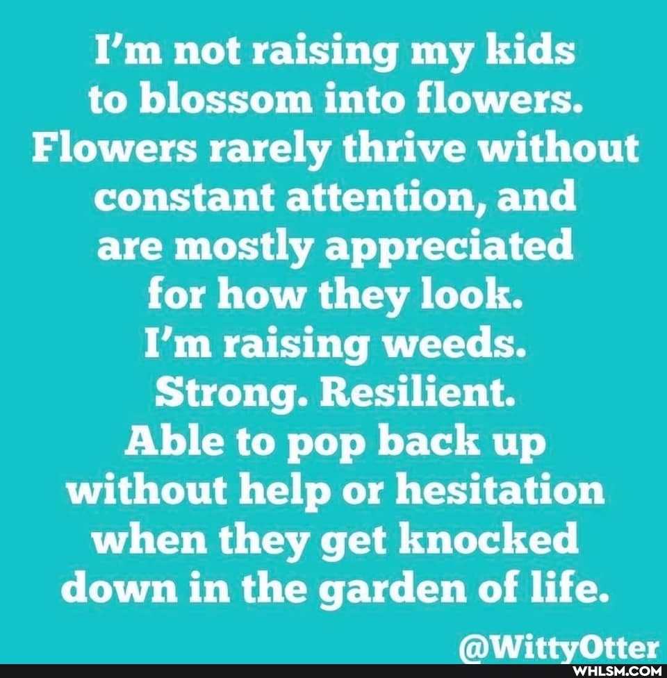 I'm not raising my kids to blossom into flowers.
Flowers rarely thrive without constant attention, and are mostly appreciated for how they look.
I'm raising weeds.
Strong. Resilient.
Able to pop back up without help or hesitation when they get knocked down in the garden of life.
NATAT rf ttne