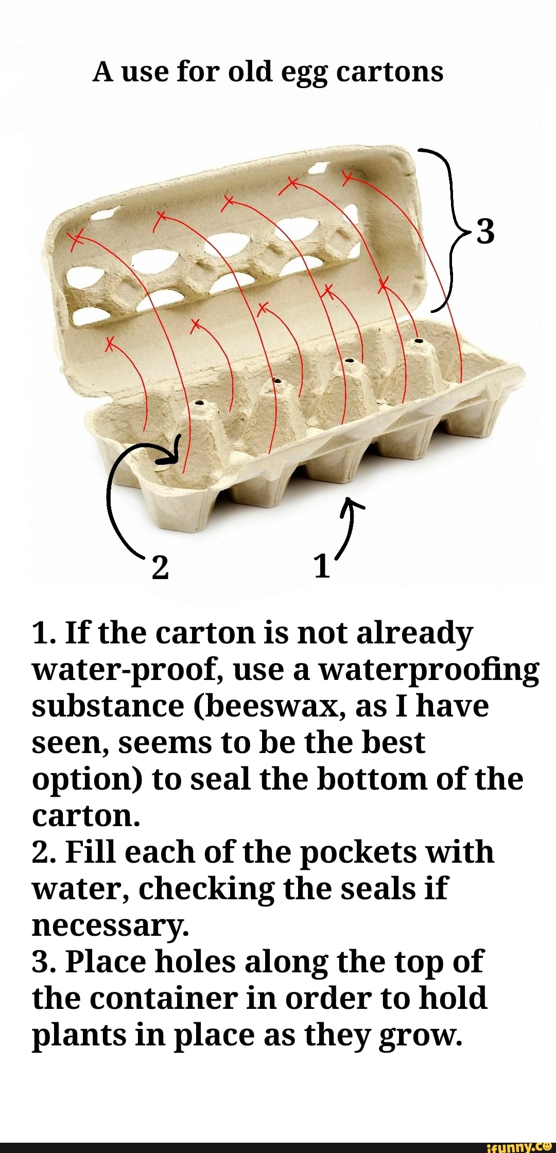 A use for old egg cartons
1. If the carton is not already
water-proof, use a waterproofing
substance (beeswax, as I have
seen, seems to be the best
option) to seal the bottom of the
carton.
2. Fill each of the pockets with
water, checking the seals if
necessary.
3. Place holes along the top of
the container in order to hold
plants in place as they grow.