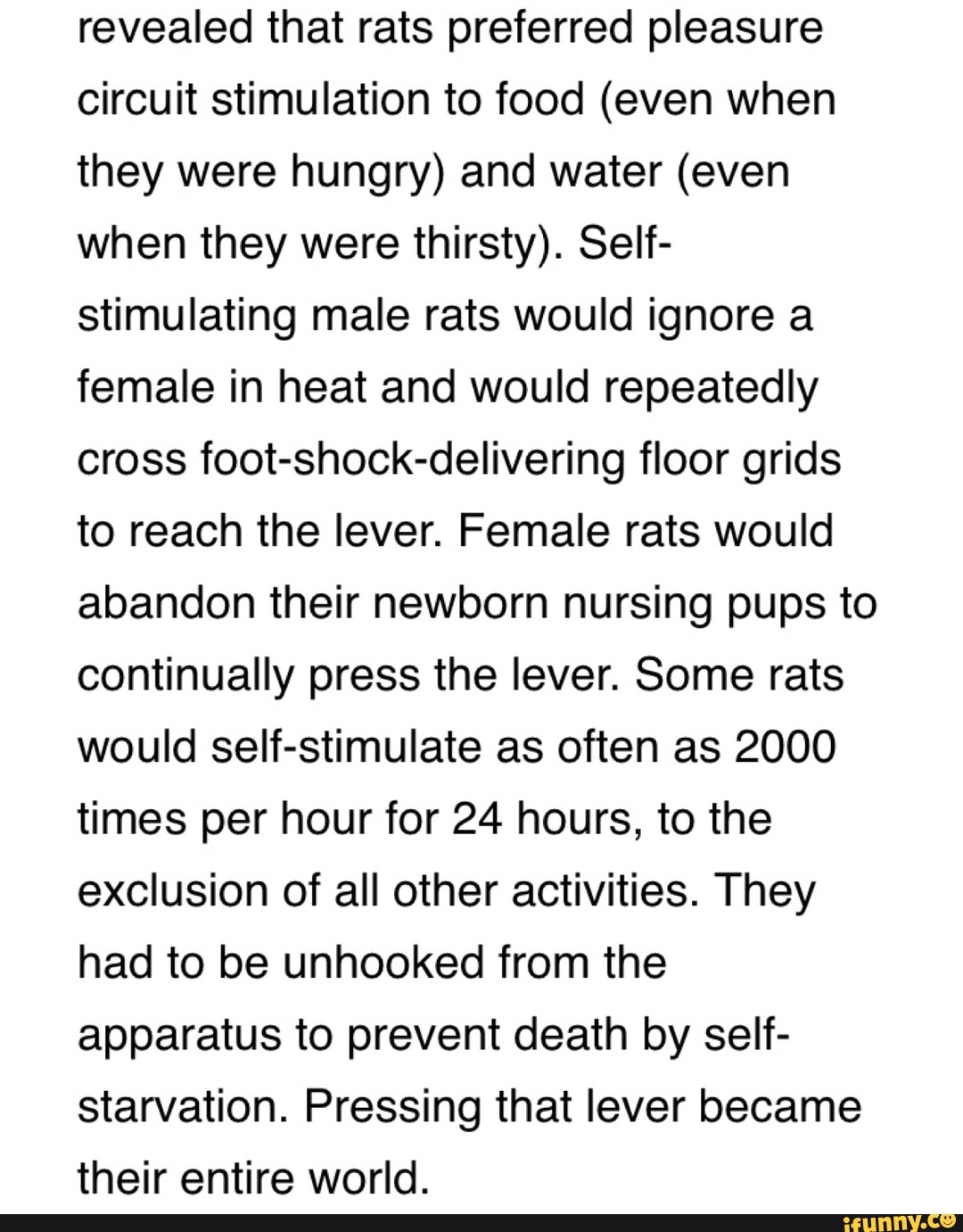 Revealed that rats preferred pleasure circuit stimulation to food (even