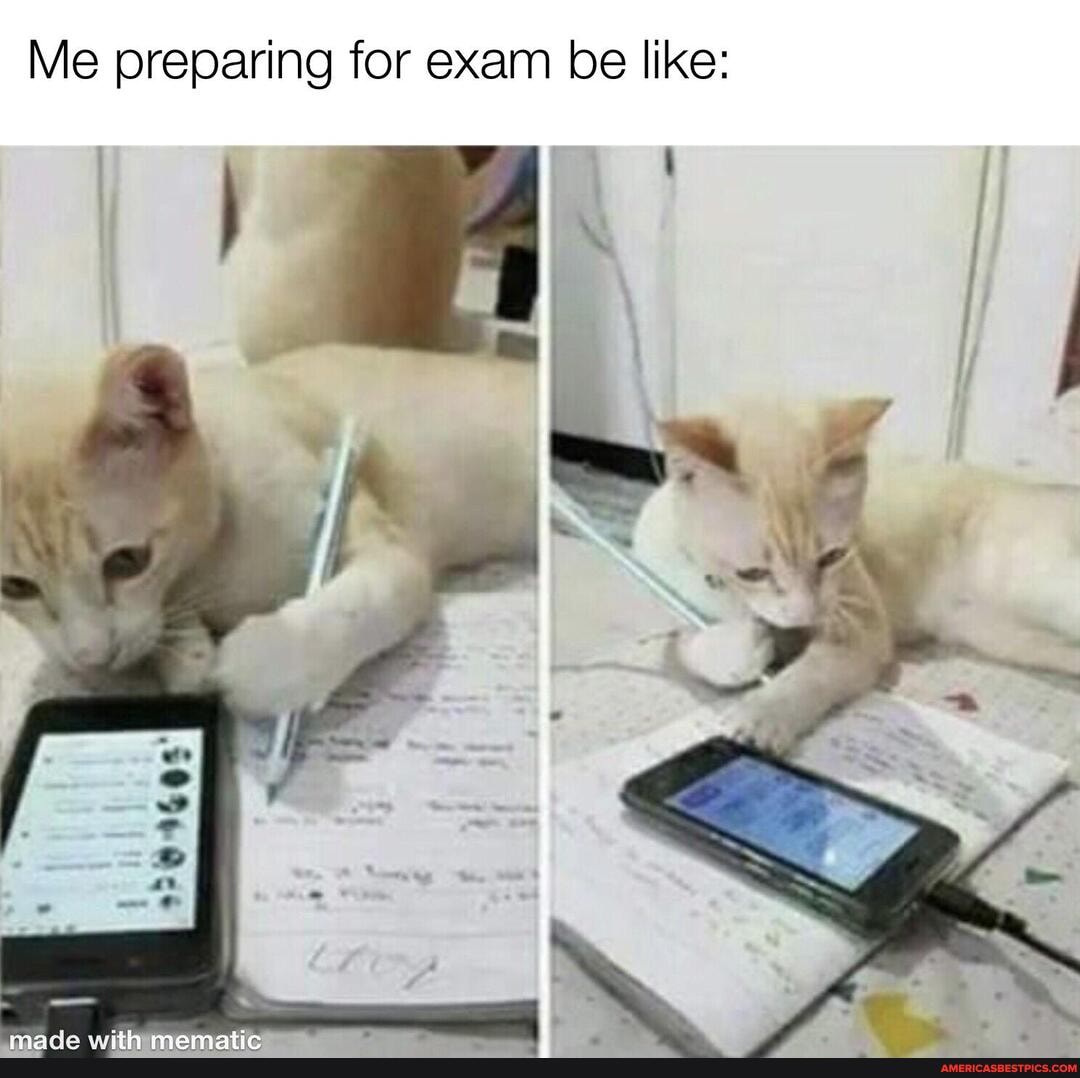 Me preparing for exam be like:
SS