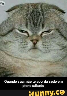 Quando sua mãe te acorda sedo em pleno sábado