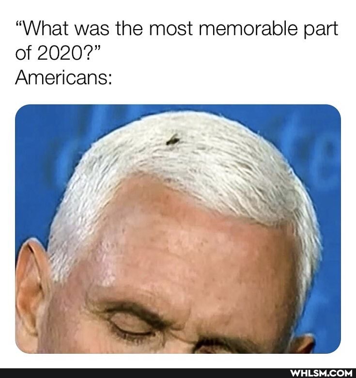 "What was the most memorable part of 2020?"
Americans:
