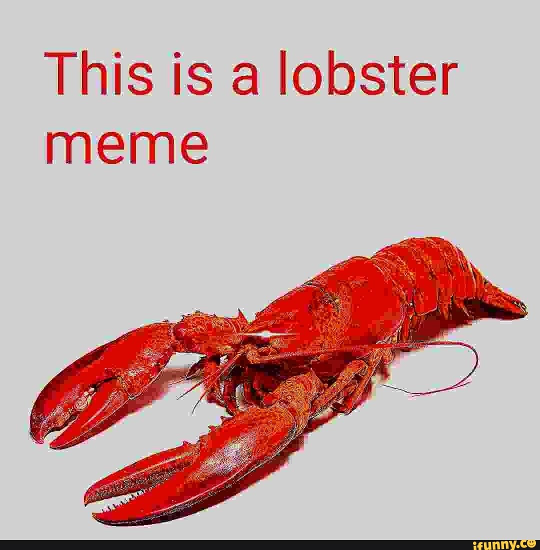 This is a lobster meme iFunny