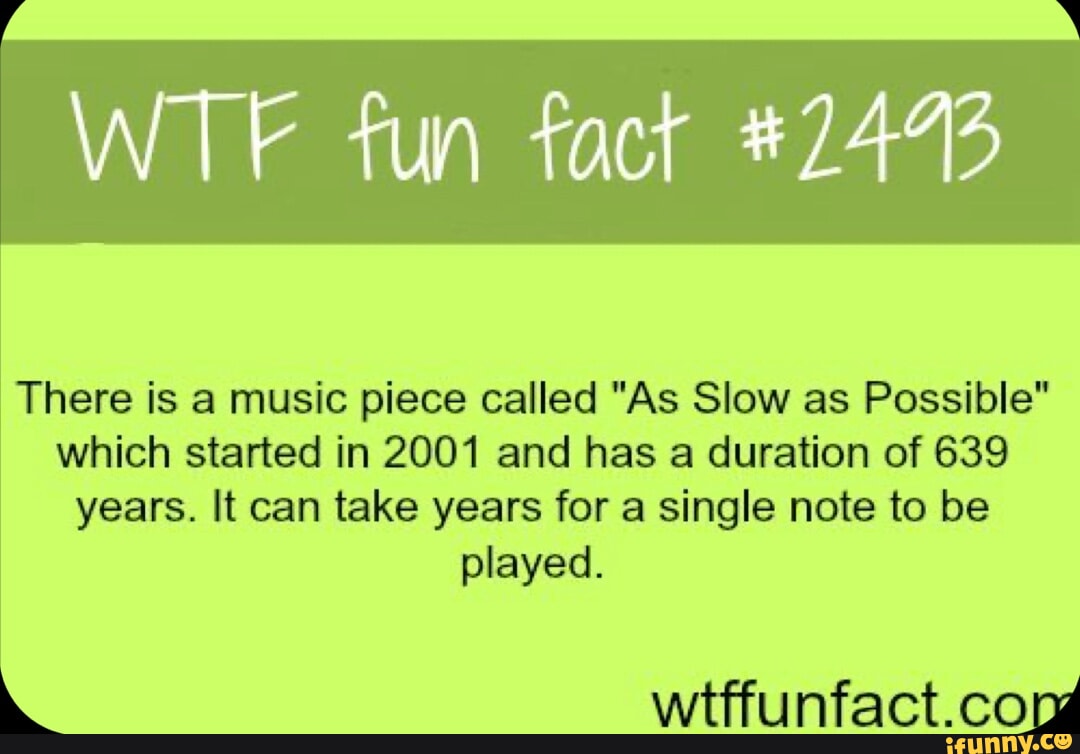 Fact am. Fun facts. Fun fact картинка. WTF funny. ВТФ факт.