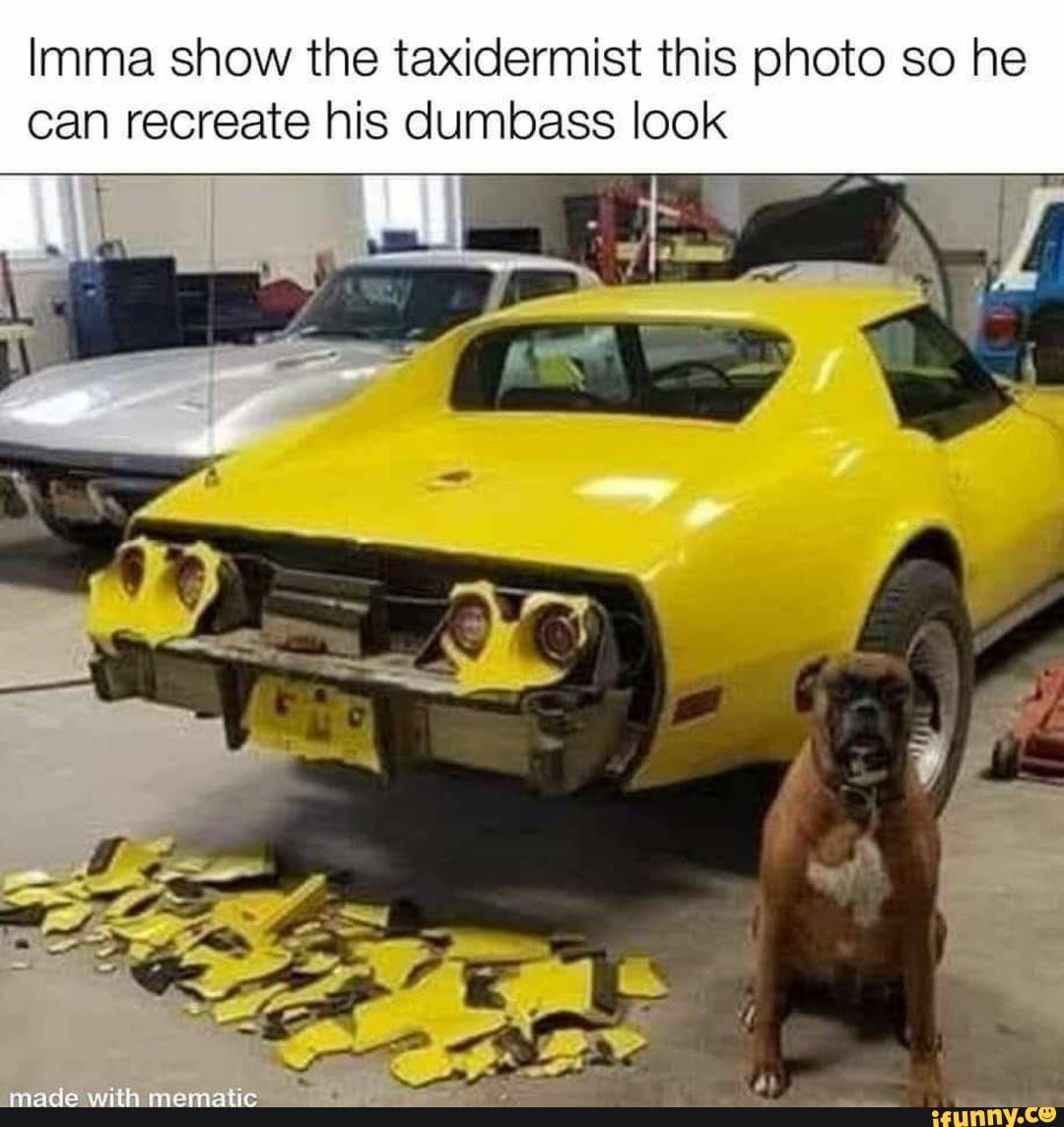 Imma show the taxidermist this photo so he can recreate his dumbass ...