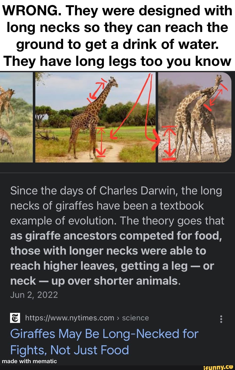 WRONG. They were designed with long necks so they can reach the ground