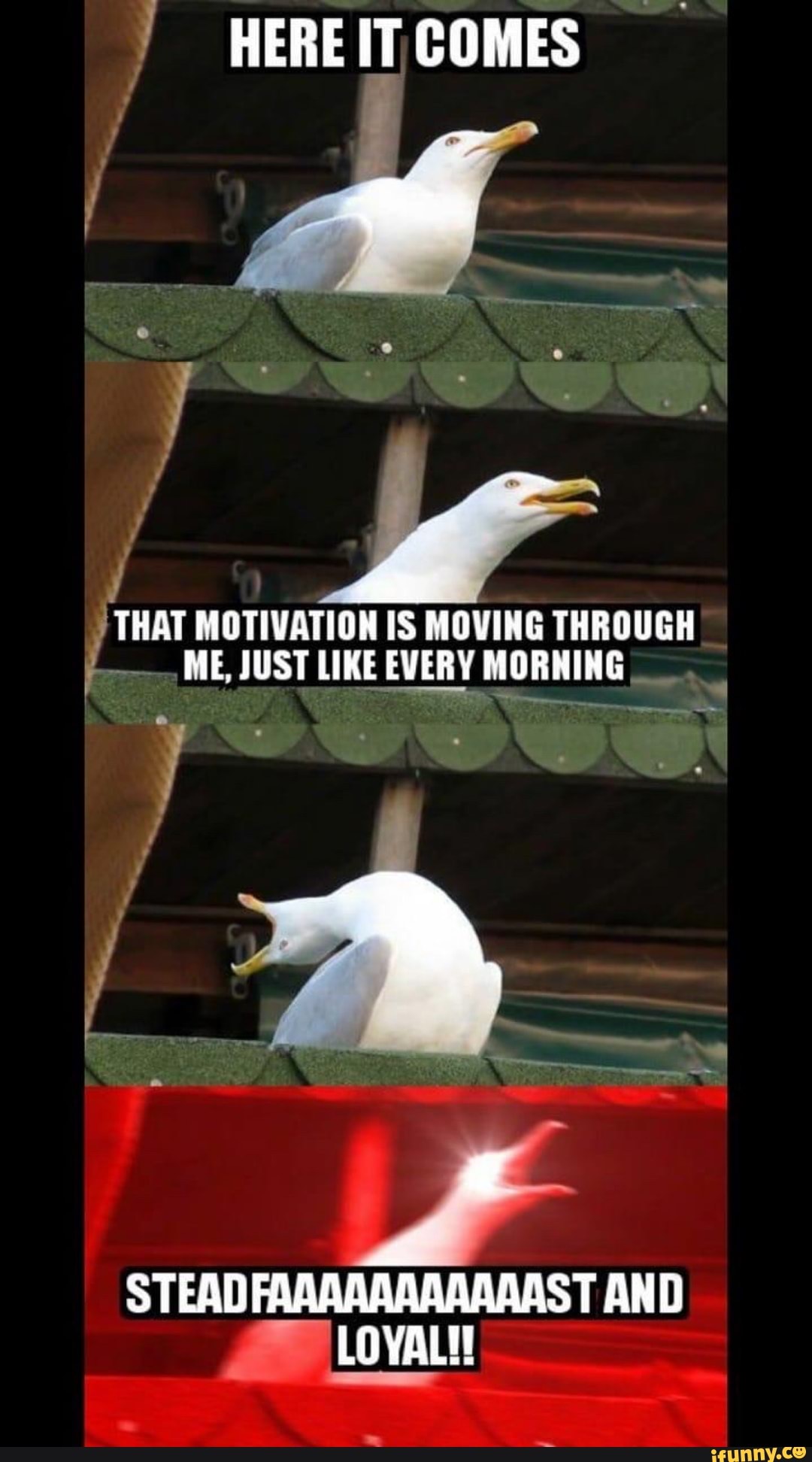 ) THAT MOTIVATION IS MOVING THROUGH
E ME, JUST LIKE EVERY MORNING