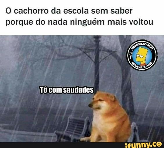 O cachorro da escola sem saber porque do nada ninguém mais voltou
Tô com saudades