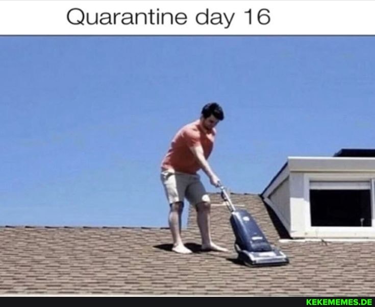 Quarantine day 16