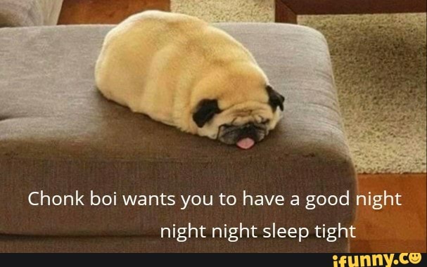 Chonk boi wants you to have a good night
night night sleep tight