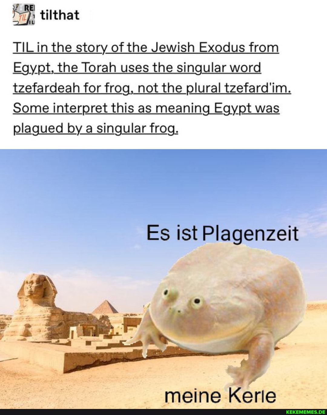 TiLin the story of the Jewish Exodus from
Egypt, the Torah uses the singular word tzefardeah for frog, not the plural tzefard'im.
Some interpret this as meaning Egypt was plagued by a singular frog.
Es is'
meine Kerle