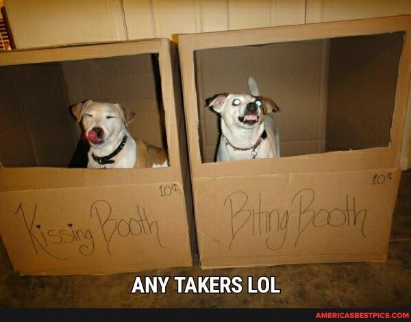 ANY TAKERS LOL
