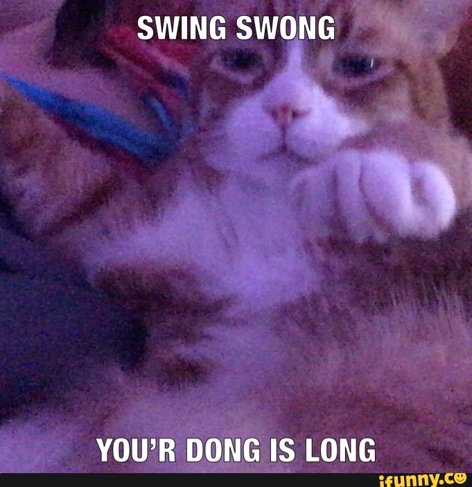SWING SWONG
YOUR DONG IS LONG