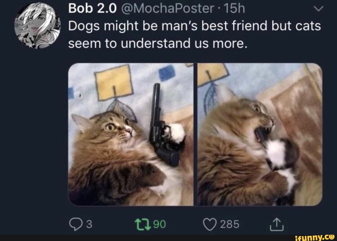 Bob 2.0 @MochaPoster
Dogs might be man's best friend but cats
seem to understand us more.
285